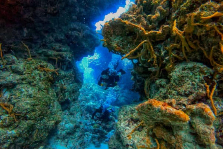 Cancun : Cours PADI Nitrox à l&#039;air enrichiCancun : Cours de plongée Nitrox