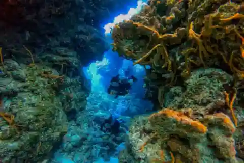 Cozumel: Two reef dives in Marine Park, certified divers