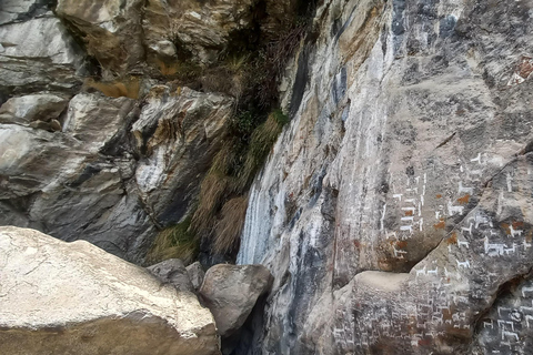 Laguna Rocutuyoc and Honkopampa Ruins Private Service