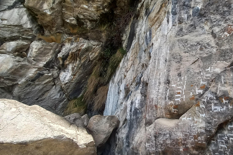 Laguna Rocutuyoc and Honkopampa Ruins Private Service