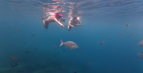 Waterfall and Snorkel: Adventure in Quimixto
