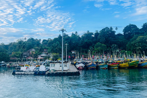 Colombo: Galle, Unawatuna, and Madu River Day Trip