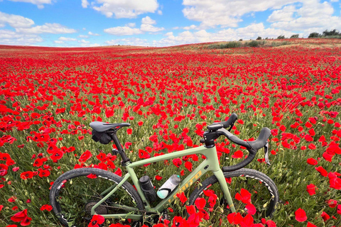 Madrid: E-Bike & Gravel Bike Rental