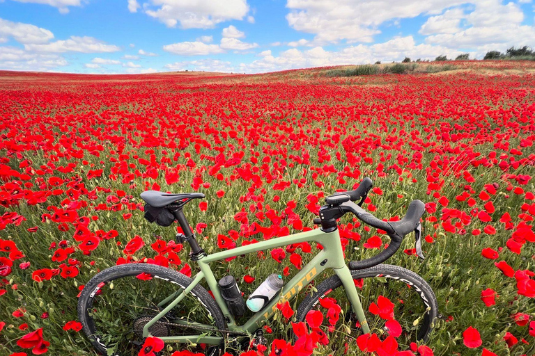 Madrid: E-Bike & Gravel Bike Rental