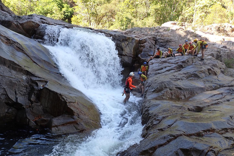 Cairns: Tour d&#039;avventura Crystals &amp; Behana - Canyoning a CairnsEsperienza nella foresta pluviale delle cascate di Cairns Giornata intera avanzata