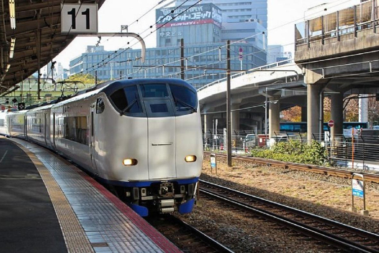 Billete de ida Kansai-Airport Express HARUKAHARUKA TICKETS Aeropuerto de Kansai → Osaka・Shin-Osaka Sólo ida