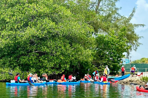 Miami: Manatee Season Paddleboard or Kayak Tour Miami: Manatee Season Single Kayak Tour