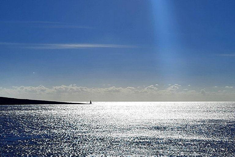 Gozo svelato: Escursioni guidate a Gozo - Nord EstFinestra