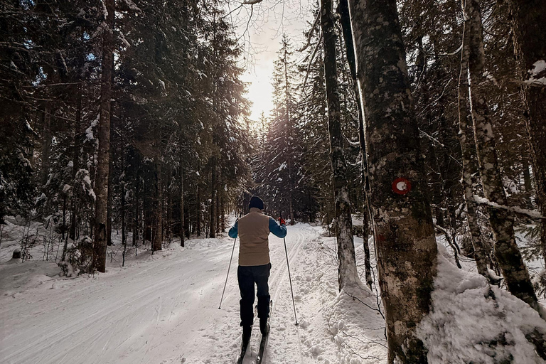 Slovenia: Nordic Backcountry Skiing Adventure Pokljuka: Zajavornik Alpine Meadow