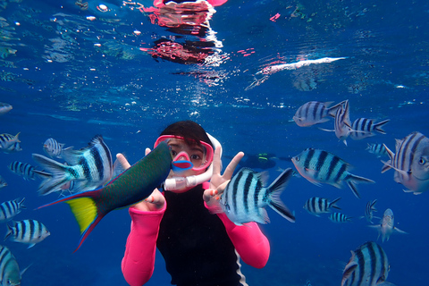 From Naha: Kerama Islands Snorkeling Boat Trip with Turtles