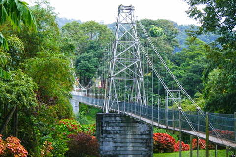 From Colombo: Kandy Temple of the Tooth & Botanical Gardens…