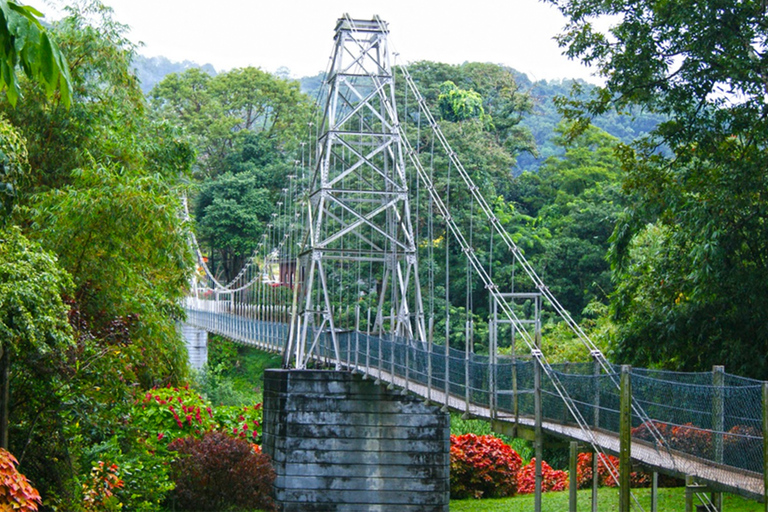 From Colombo: Kandy Temple of the Tooth & Botanical Gardens…