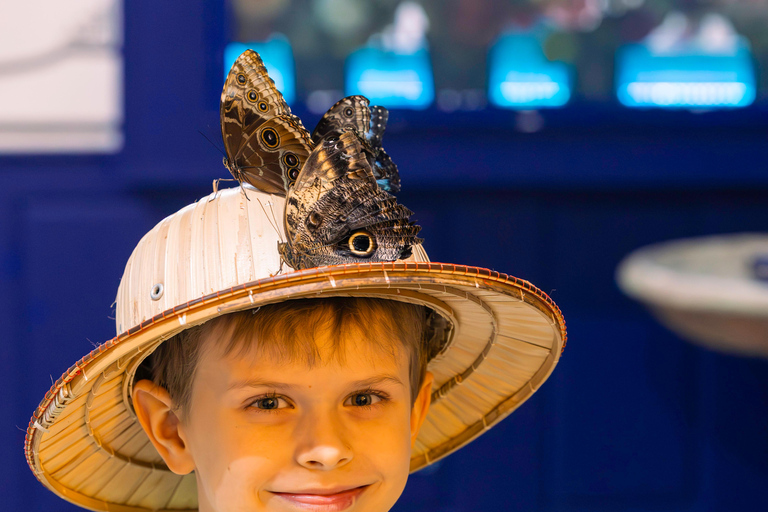 Cracovia: 4 labirinti e biglietto d'ingresso al Museo delle Farfalle Viventi