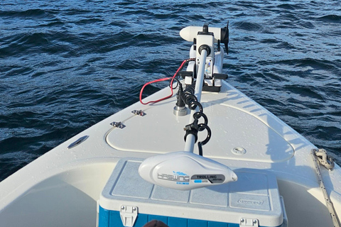 Private boat ride on Lake Lacar in San Martin de los Andes