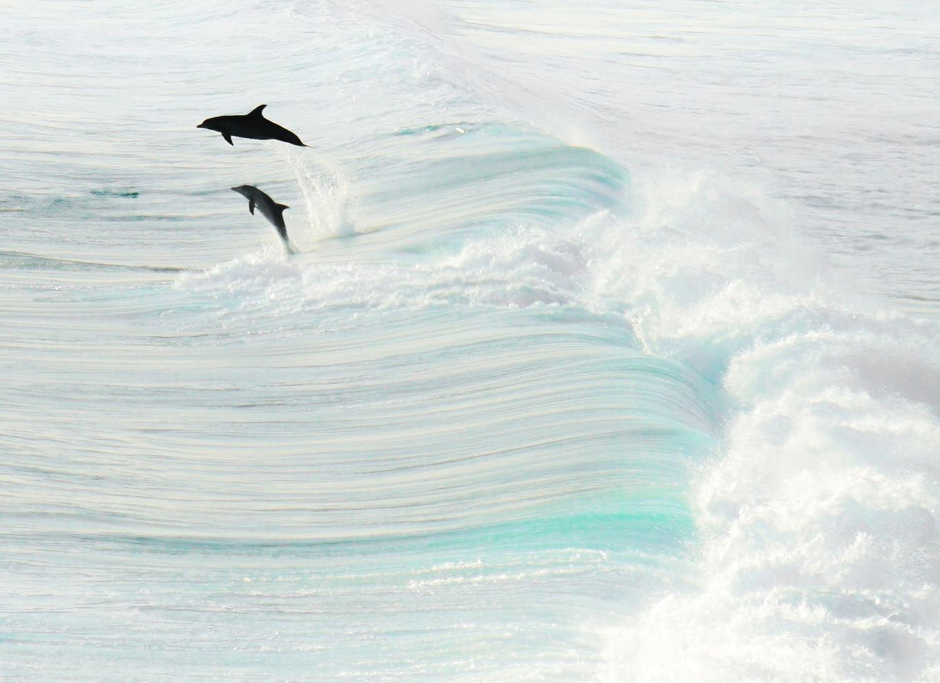 Margaret River: Guidet kano- og 4x4-tur med frokost og vin