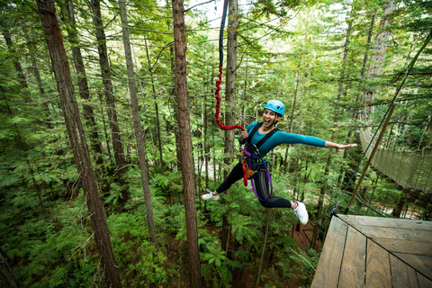 Rotorua: Redwoods Altitude High Ropes AdventureRotorua: aventura em cordas altas de altitude em Redwoods