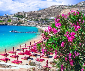 Mykonos-eiland & Chora-wandeltocht voor cruisereizigers