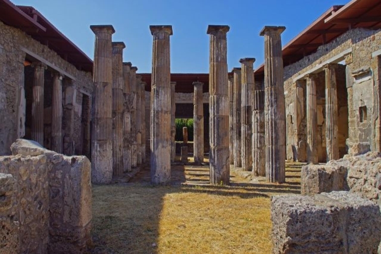 Pompeii verkennen De oude ruïnes ontdekkenPompei verkennen tijdens de ontdekking van antieke runderen