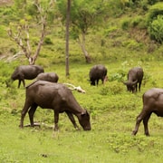 Lombok: Guided Culture and South Beaches Day Tour