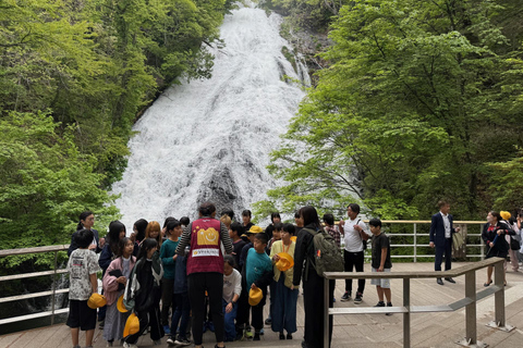 Tokyo: Nikko Private Day Tour with Pickup