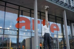 Geführter Rundgang durch das Europaviertel in Straßburg