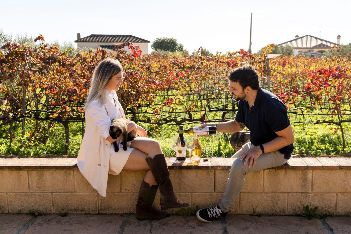 Málaga: Bio-Weinberg-Tour mit 6 Weinen, Tapas & Transfer