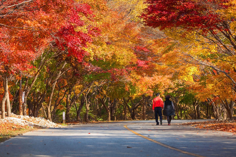 Seúl: Parque Nacional Naejangsan, tour de un día para ver el follaje otoñalVisita compartida a Naejangsan, encuentro en la estación de Myeongdong