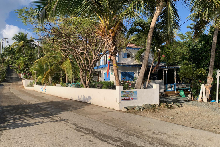 Culinary Adventure Walk on St. John: Food Tour & More!