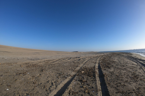 Swakopmund: Sunset Kayaking Tour with Hotel Pickup