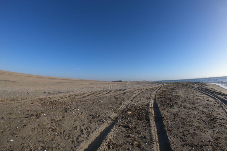 Swakopmund: Sunset Kayaking Tour with Hotel Pickup