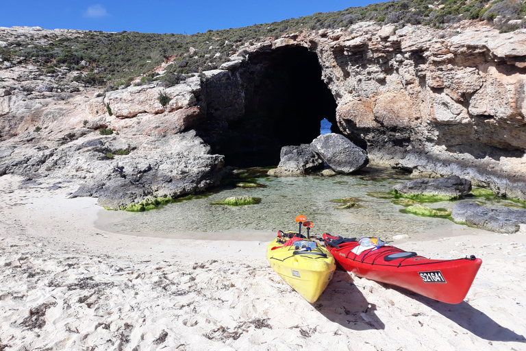 Gozo: Avventura guidata in kayak a Comino e alla Laguna Blu