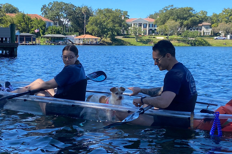 Orlando: Wiosłuj z psami w raju - Paddleboard lub kajakWiosłuj ze szczeniętami