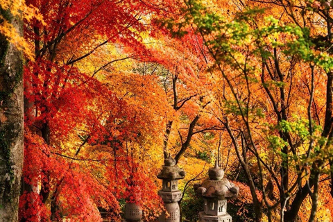 Nikko: Kegon Falls, Chuzenji, Shinkyo Bridge, Toshogu Temple In Luxury Velfire Nikko Private Customized Tour