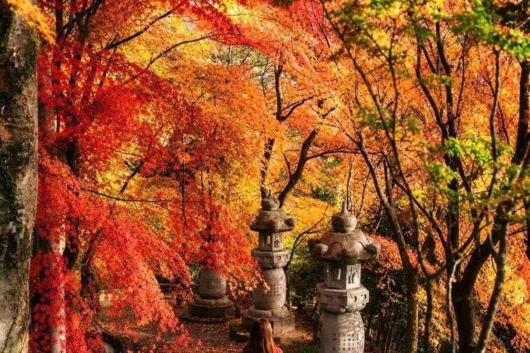 Nikko: Kegon Falls, Chuzenji, Shinkyo Bridge, Toshogu Temple In Luxury Velfire Nikko Private Customized Tour