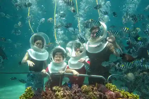 St Maarten: SeaTrek