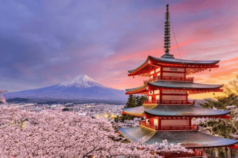 From Tokyo: Mount Fuji Private Day Tour With English Guide - Image 2