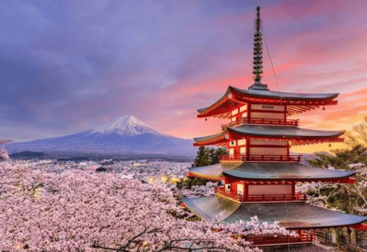 Ab Tokio: Private Tagestour zum Berg Fuji mit englischsprachigem Guide