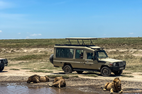 4 dagar i det vilda: Serengeti, Ngorongoro och Tarangire