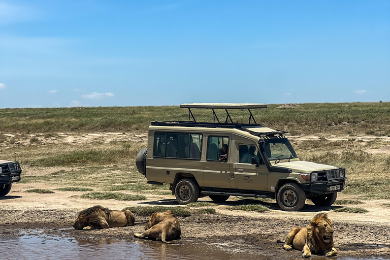 4 dagar i det vilda: Serengeti, Ngorongoro och Tarangire