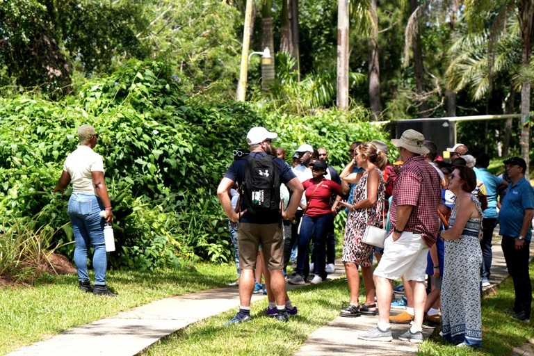 Croydon in the Mountains - Eco Farm Tour with Lunch