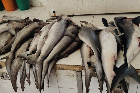 Muscat: Visit Sinaw Market, Izki Village, & Jarnan Cave Tour