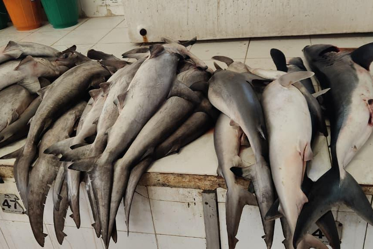Muscat: Visit Sinaw Market, Izki Village, & Jarnan Cave Tour