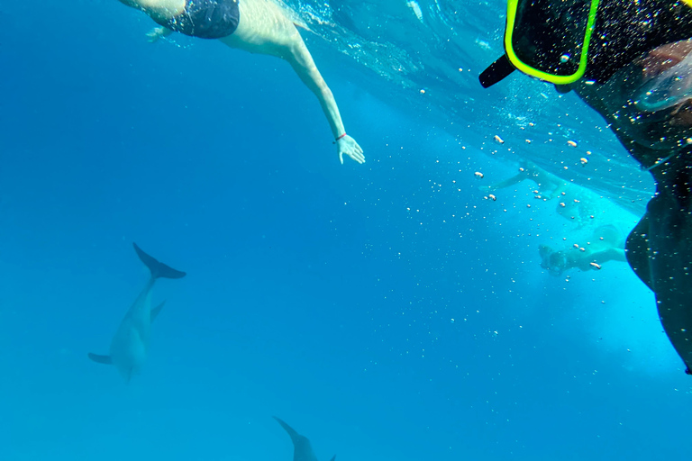 Mnemba: Afrikanska Maldiverna dagstur med lunchNungwi: Afrikanska Maldiverna dagstur med lunch