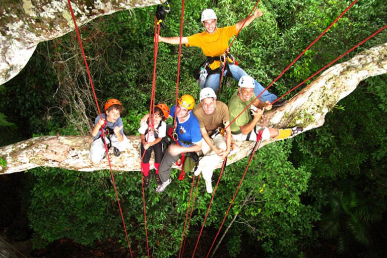 Manaus: Adventure Tree Climbing