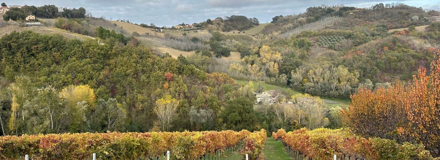 Tour du goût des Marches