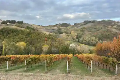 Taste of Le Marche Tour