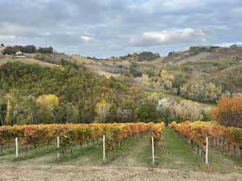 Taste of Le Marche Tour