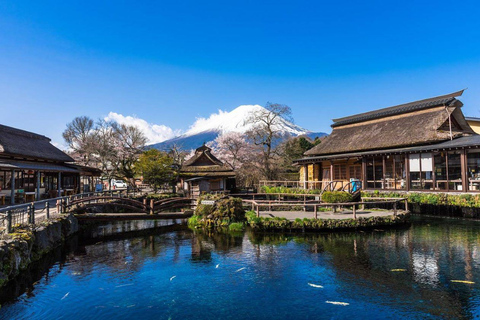 Berg Fuji und Hakone Ganztagestour private Tour