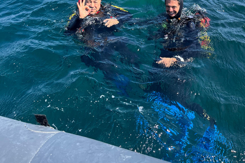 Pianottoli-Caldarello: Your first dive in the Mediterranean Pianottoli-Caldarello: Introductory Dive in the Mediterranean