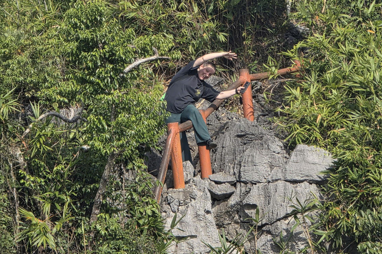 Half day Hiking Cat Ba National Park With guide